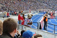 Hertha BSC vs Schalke 04 vom 16.05.2009 0:0